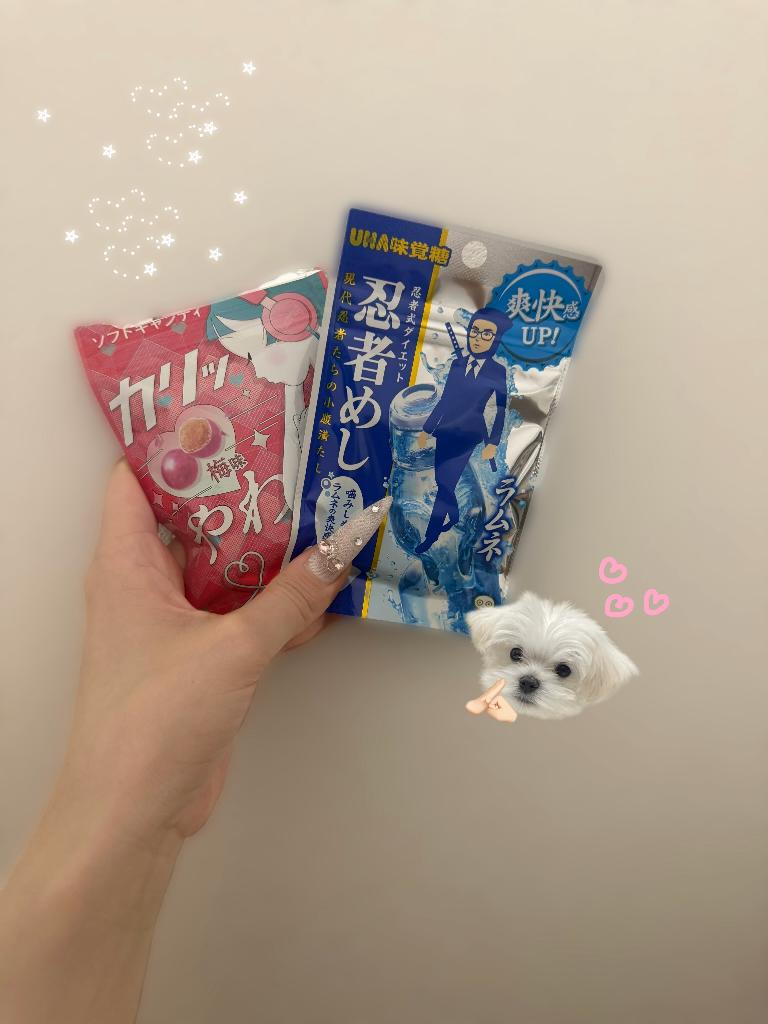 一条ひかり